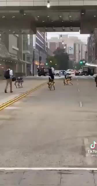 Cop replacement with andriod dogs