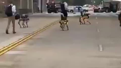 Cop replacement with andriod dogs