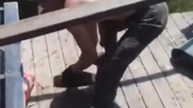 Ukrajinští nacisté zaminovávají pole. Žádné mapy a kombajny budou vybuchovat