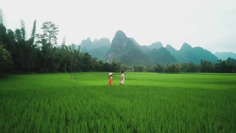 Footage Of Couple In The Middle Of The Farm