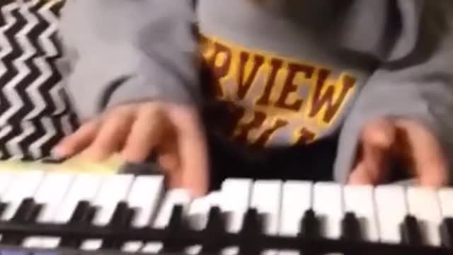 Dog playing piano. Funny dog moments. Try not to laugh.