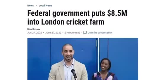 Billions of federal dollars to cricket farms