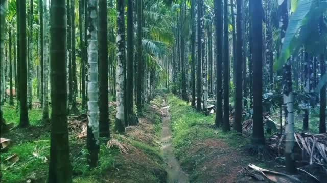How important is nature?