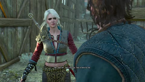 The Witcher 3 missing persons part 4 calm before the storm