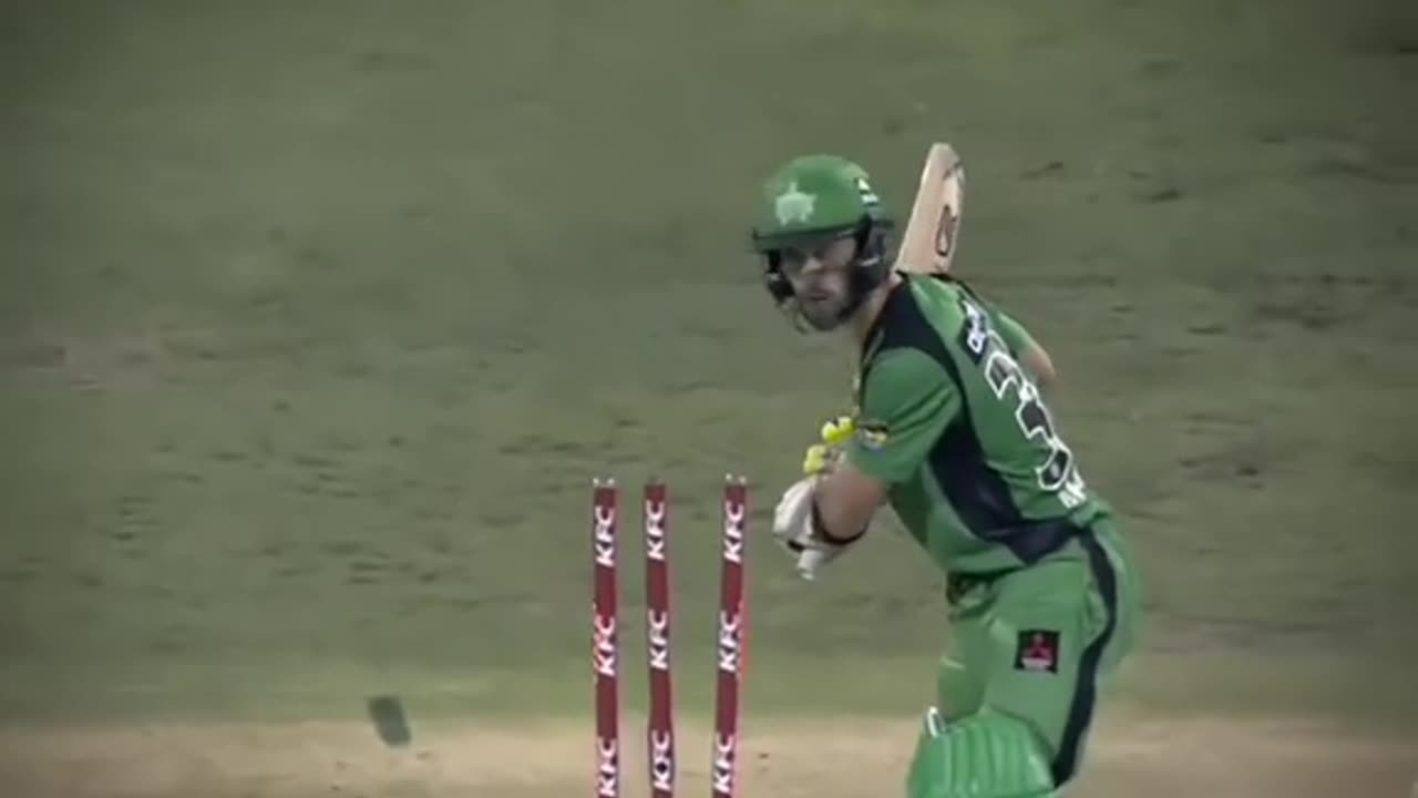 Maxwell Wicket Out Miss Understanding Bowl #shortvideo #viralshort #Trendingvideo #cricket