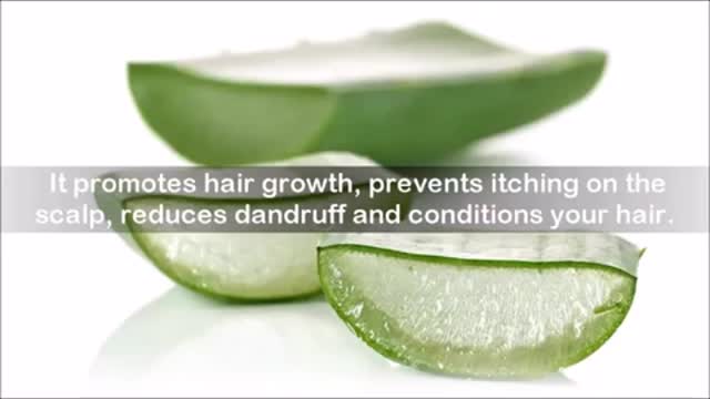 Benefits of Aloe vera on Skin