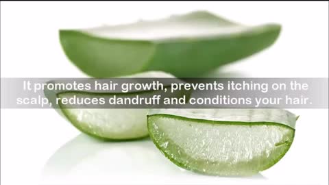 Benefits of Aloe vera on Skin