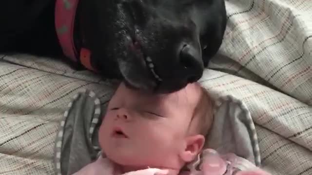 Cozy Babies!
