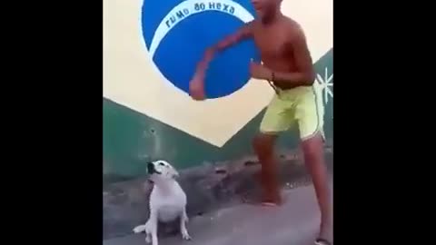 Funny dog dance with boy 🐶