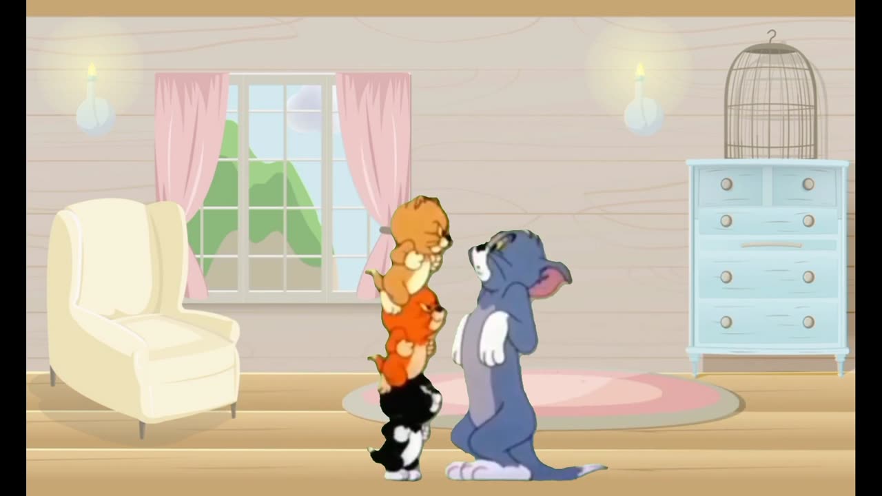 Tom and Jerry Cartoon