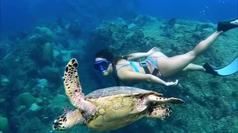 Diving with a green friend