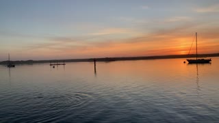 Morro Bay sunset and playful seals.