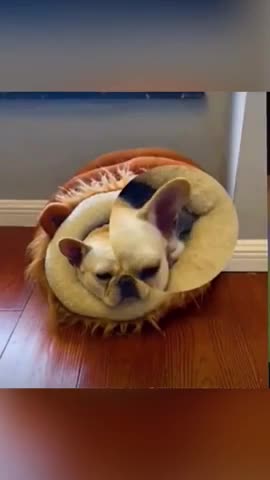 Who's sleeping with me!