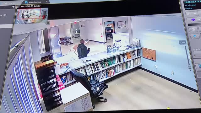 Deer Got Into a Modern Office in San Diego Area