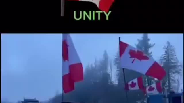 Caminhoneiros do Canadá protestando pelo mundo