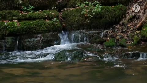 Relaxing Music | Sleeping, Meditation, Stress Relief | [375] ⭐️