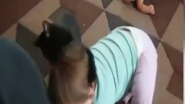 funny video of cats and babies together