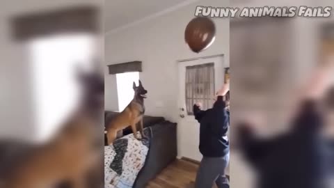 Funny animals 🗣️🐶