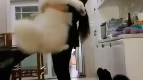 "Laugh Out Loud: Hilarious Doggy Playtime with Master"