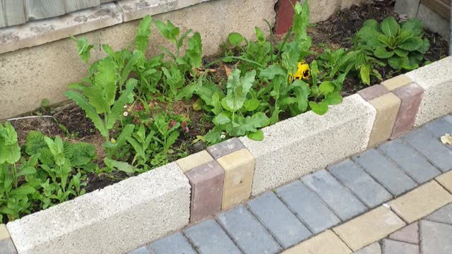 Home garden