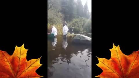 caught poisoning sweet water, canada - New Brunswick