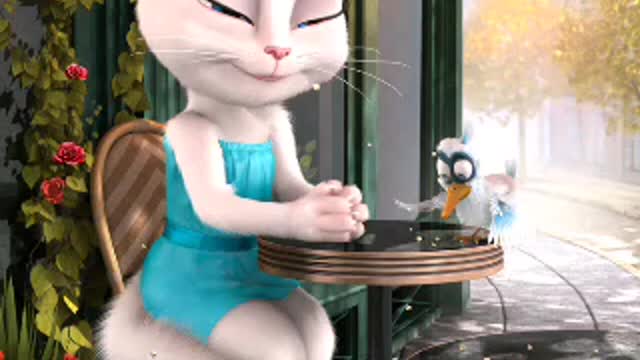 Cats and birds going