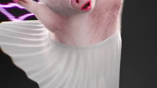 Piggy singing