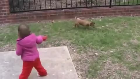 Hermoso bebe y su perrito