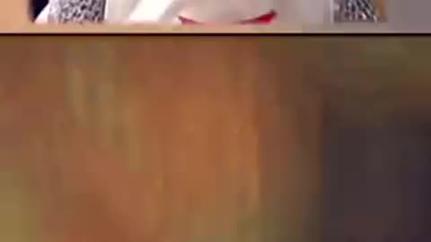 Double take brutalized