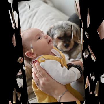 #rumbleviralvideo #rumbledogs #rumblefirstviral