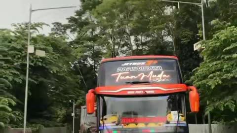 Amazing bus video