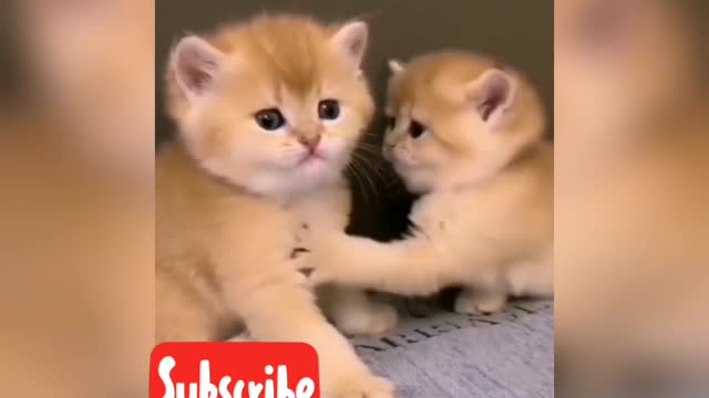 Nice video