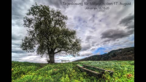 Tageslosung für Mittwoch, den 17. August