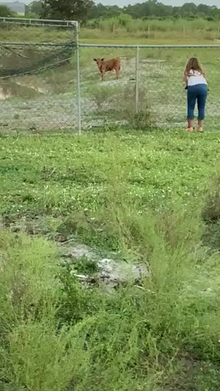 Jimmy Running Around