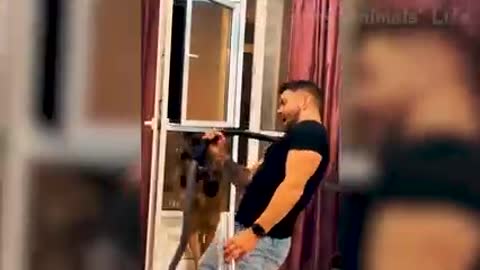 Fanny video