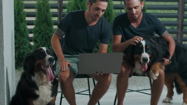 twin-brothers-having-online-class-with-their-dogs