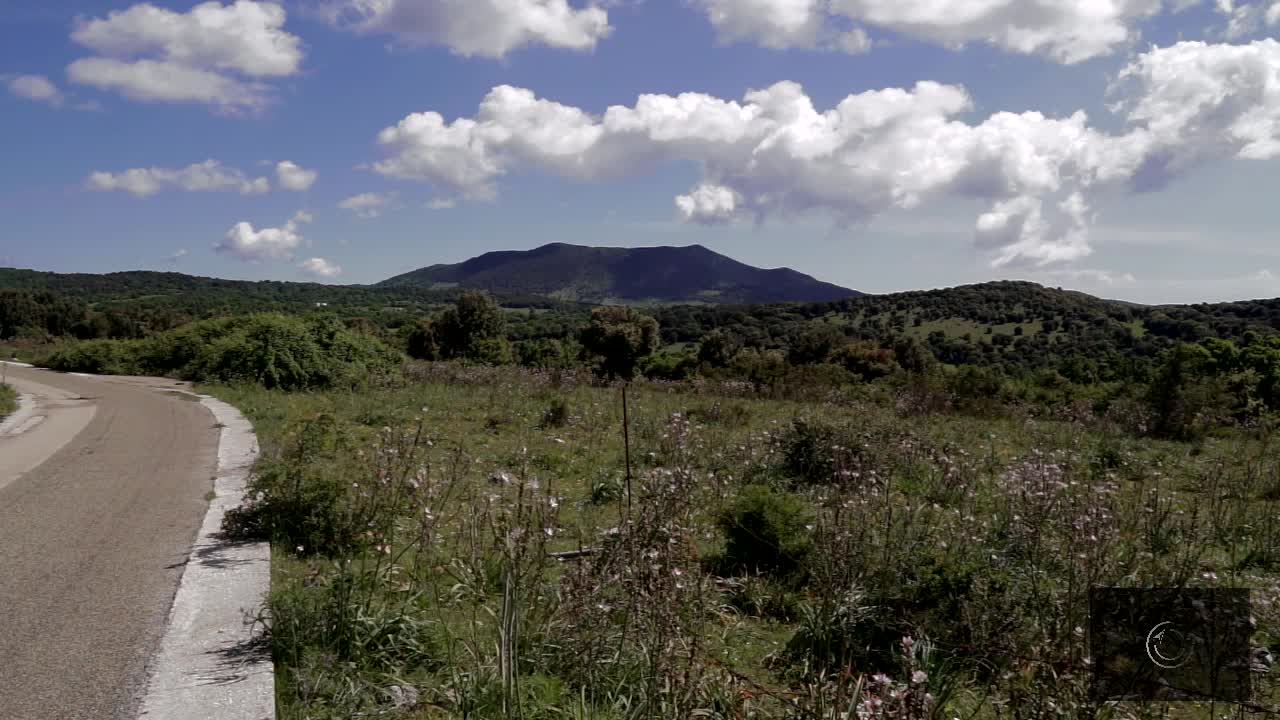 The spontaneous orchids of Gargano - documentary trailer