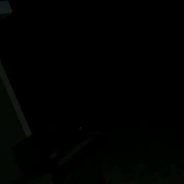 Coyotes Howling Loud