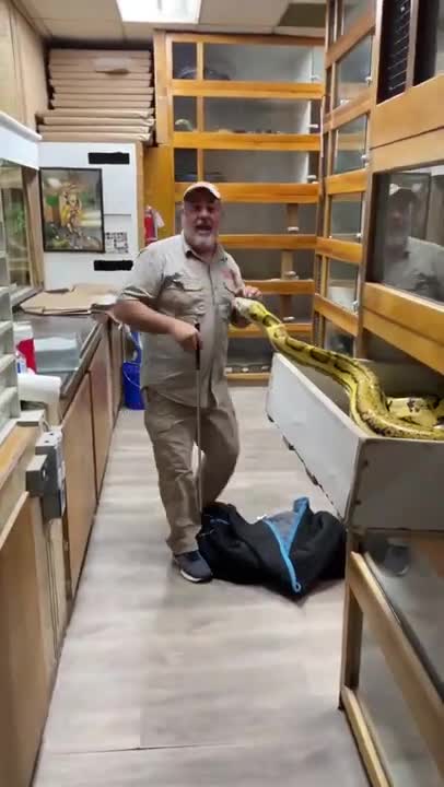 FUNNY AND CUTE ANIMALS 🐍⚕️