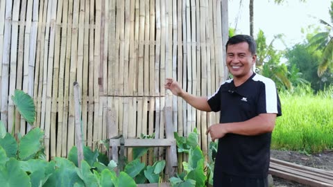Brilliant Ideas for Successful Free-range Farming - Buying New Pets and Releasing Red Tilapia Fish!