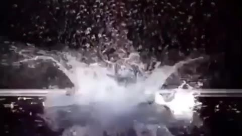 chaupiquelopecio