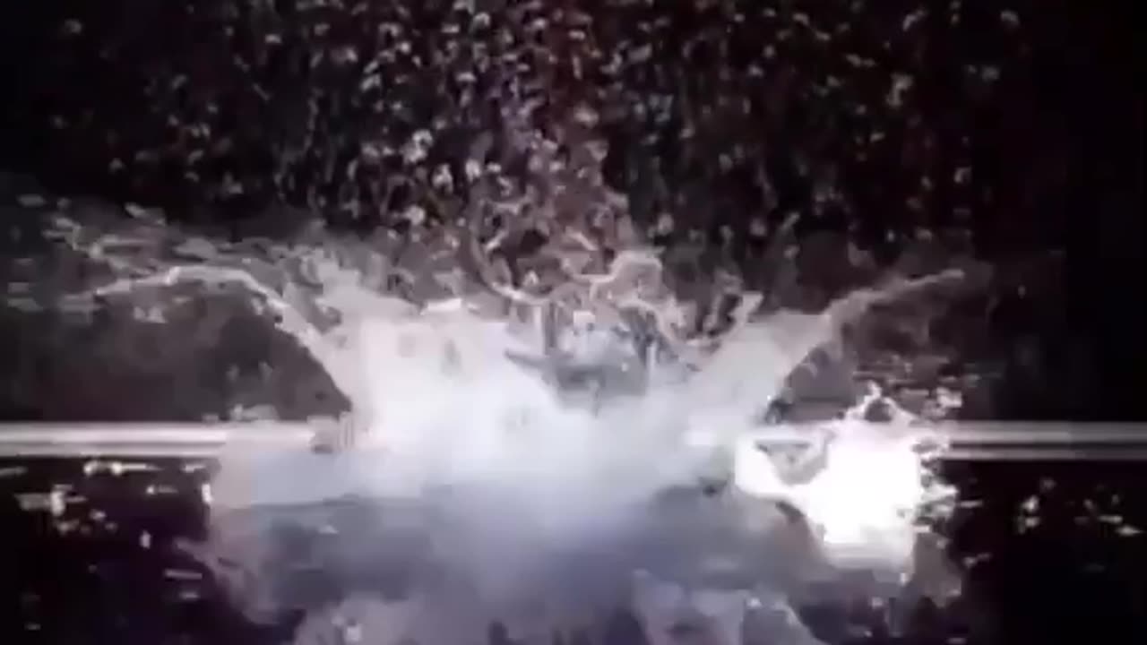 chaupiquelopecio