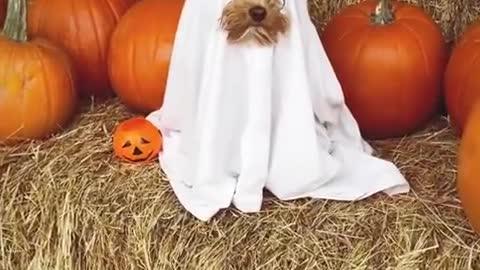 You can't see me