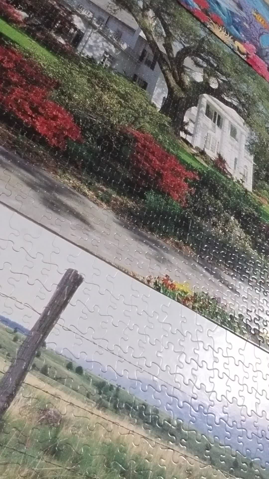 Walk With Me 1 16 2021