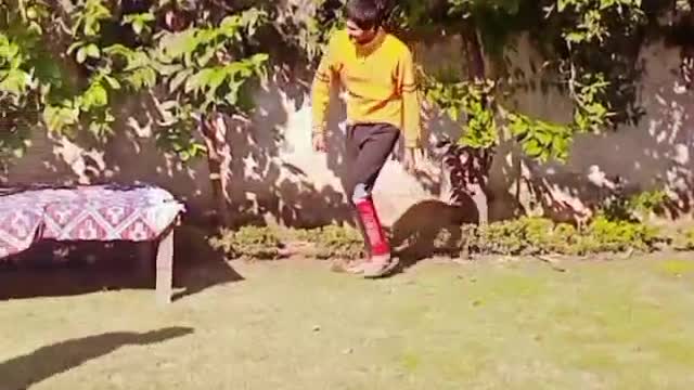 Home cricket, funny cricket 😂