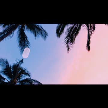 Fentanyl and tranq - Philadelphia