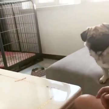 ready get set go 1...2...3...