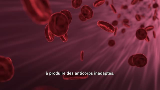 Une généticienne nous parle du système immunitaire!
