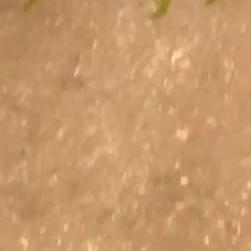 Green slime on subway