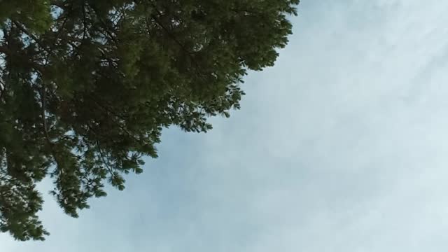 Just another vid of the skycloud peeps